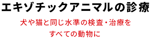 エキゾチックアニマルの診療 犬や猫と同じ水準の検査・治療をすべての動物に