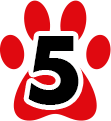 5