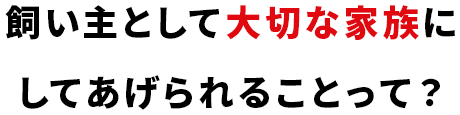 飼い主として大切な家族にしてあげられることって？