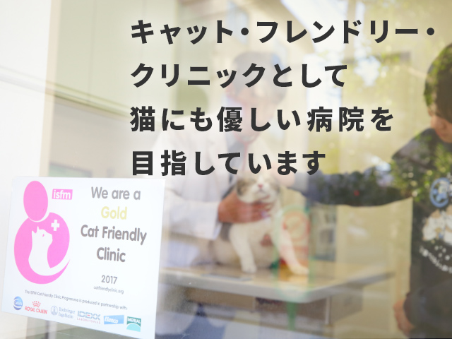アリーズ動物病院 渋谷区笹塚 幡ヶ谷 初台 代々木上原 世田谷 杉並 中野 新宿 アリーズ動物病院 渋谷区笹塚 幡ヶ谷 初台 代々木上原 世田谷 杉並 中野 新宿