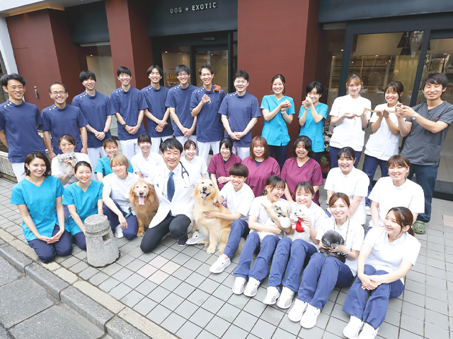 アリーズ動物病院 渋谷区笹塚 幡ヶ谷 初台 代々木上原 世田谷 杉並 中野 新宿
