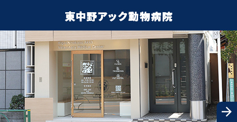 東中野アック動物病院